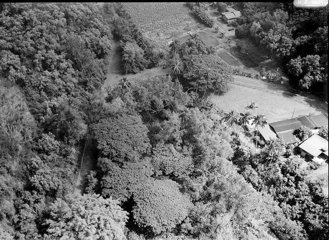 Historic Photo : Hana Belt Road, Between Haiku and Kaipahulu, Hana, Maui County, HI 43 Photograph