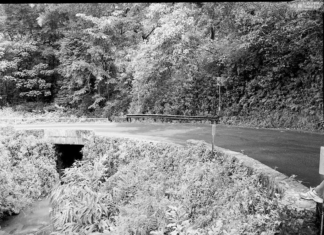 Historic Photo : Hana Belt Road, Between Haiku and Kaipahulu, Hana, Maui County, HI 30 Photograph