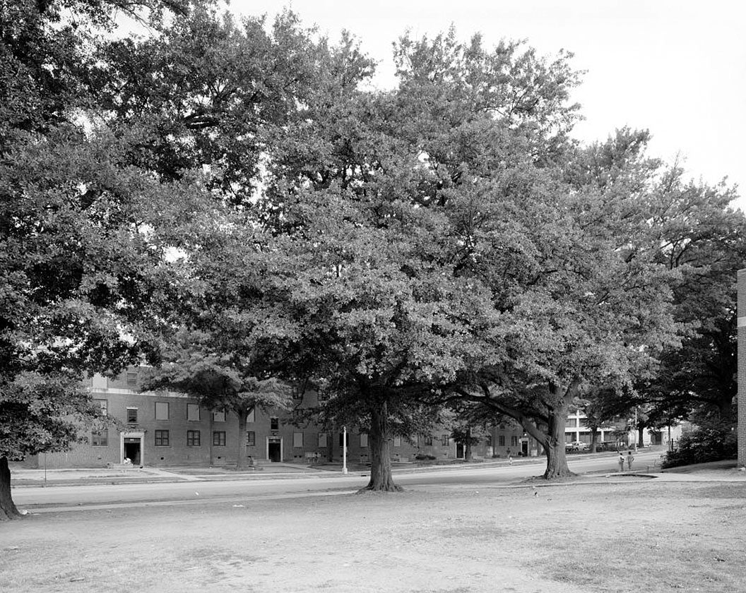 Historic Photo : Techwood Homes (Public Housing), Bounded by North Avenue, Parker Street, William Street & Lovejoy Street, Atlanta, Fulton County, GA 4 Photograph