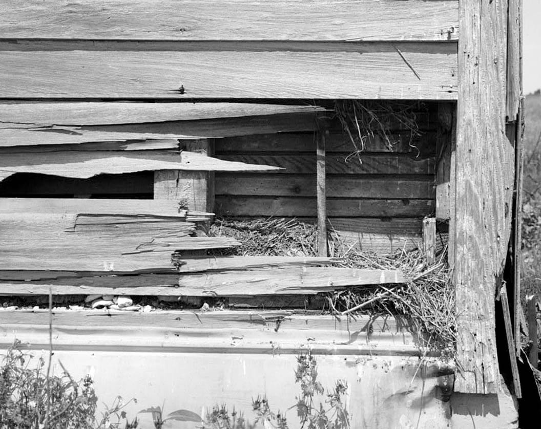 Historic Photo : William H. Ward House, North side of Road 244, .25 mile east of Road 246, Georgetown, Sussex County, DE 5 Photograph