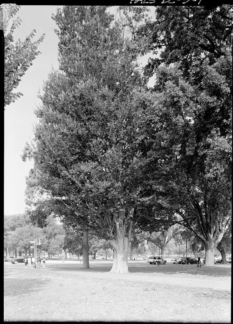 Historic Photo : Church of the Advocate, Northwest corner of Eighteenth & Diamond Streets, Philadelphia, Philadelphia County, PA 7 Photograph