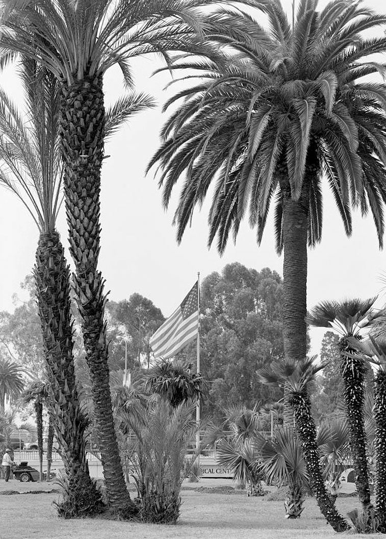 Historic Photo : National Home for Disabled Volunteer Soldiers, Pacific Branch, 11301 Wilshire Boulevard, Los Angeles, Los Angeles County, CA 8 Photograph
