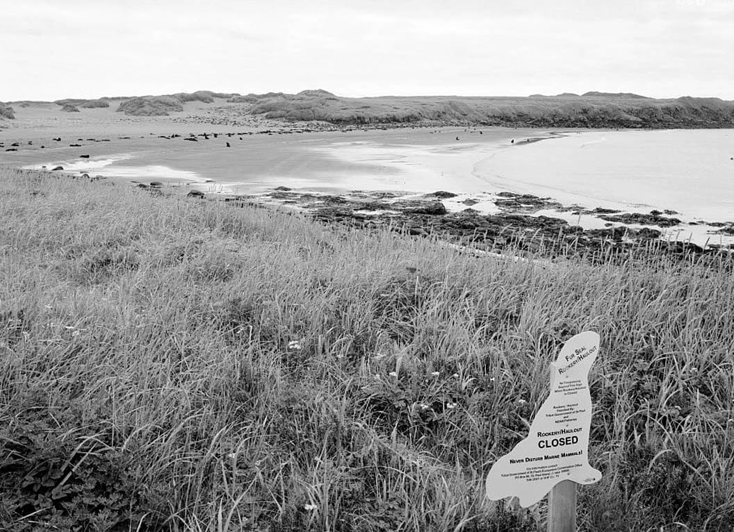 Historic Photo : Saint Paul Island, Saint Paul Island, Aleutians West Census Area, AK 5 Photograph