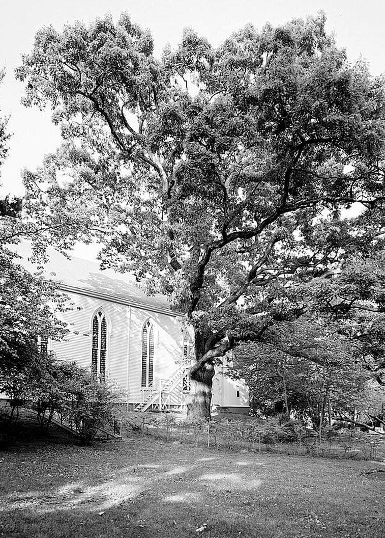 Historic Photo : Trinity Church (P. E.), 651 Pequot Road, Southport, Fairfield County, CT 33 Photograph