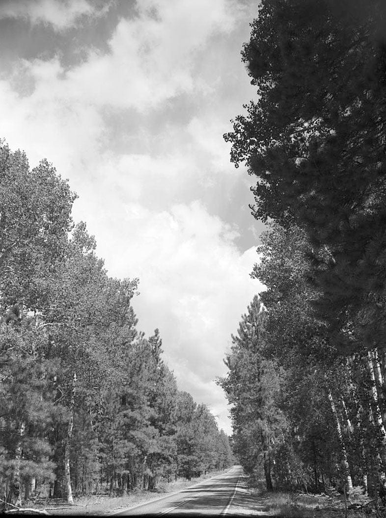 Historic Photo : Cape Royal Road, Between North Entrance Road & Cape Royal, Grand Canyon, Coconino County, AZ 7 Photograph