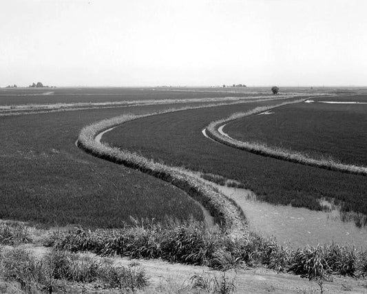 Reclamation District 1000, Northwest Sacramento County & southwest Sutter County, bisected by State Highway No. 99, Sacramento, Sacramento County, CA 8