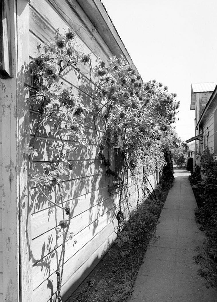 Historic Photo : Town of Locke, Warehouse, 13923 Main Street, Locke, Sacramento County, CA 2 Photograph