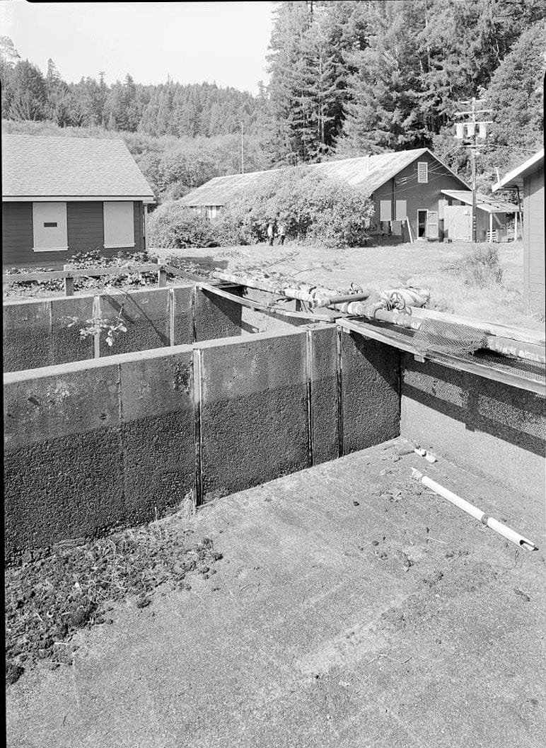 Historic Photo : Prairie Creek Fish Hatchery, Hwy. 101, Orick, Humboldt County, CA 13 Photograph