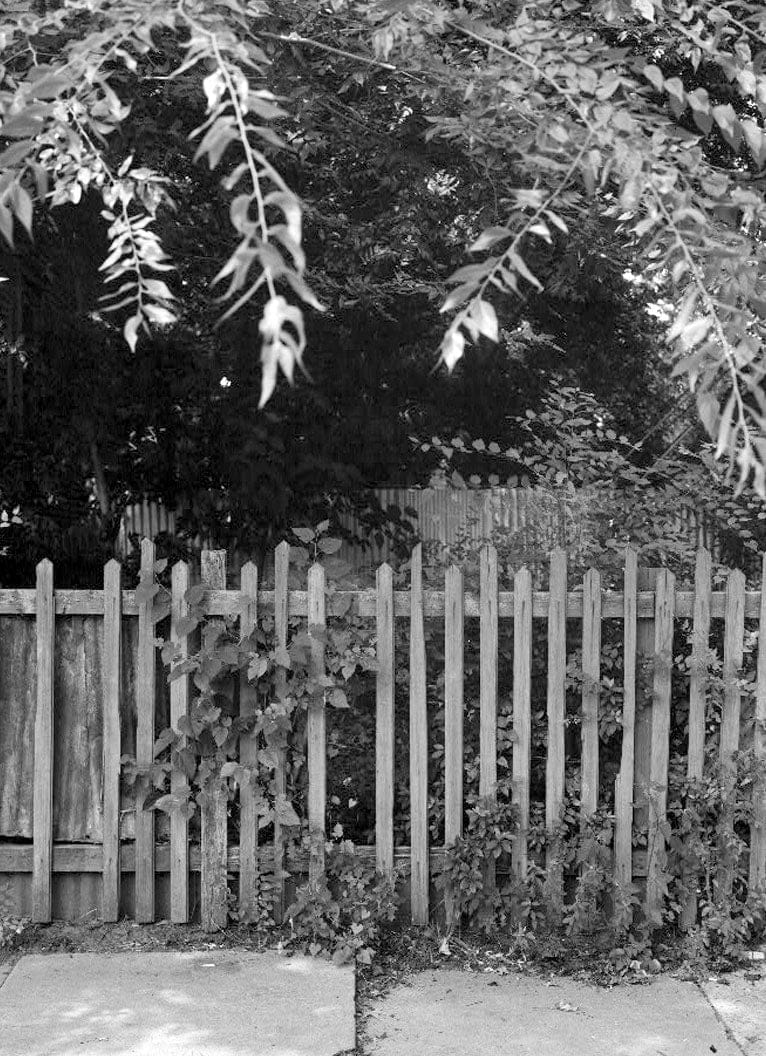 Historic Photo : Savannah Victorian Historic District, Bounded by Gwinnett, East Broad, West Broad Street & Anderson Lane, Savannah, Chatham County, GA 118 Photograph