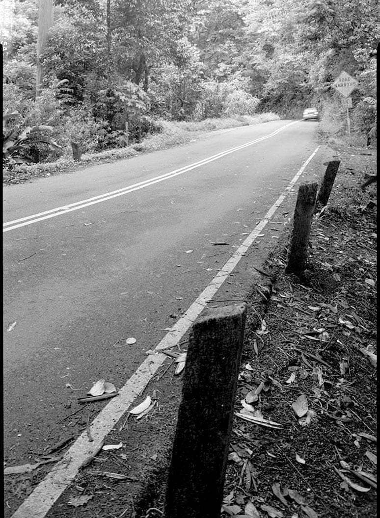 Historic Photo : Hana Belt Road, Between Haiku and Kaipahulu, Hana, Maui County, HI 75 Photograph