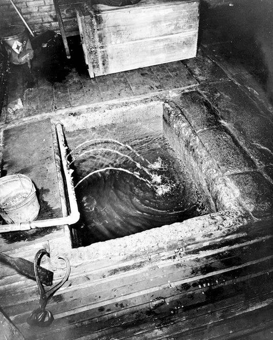 Historic Photo : Milford Ice & Coal Company, 18 Maple Avenue, Milford, Sussex County, DE 28 Photograph