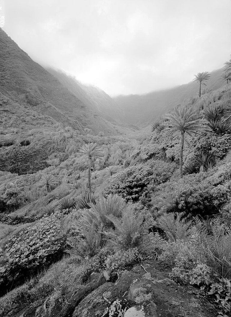 Historic Photo : Kalaupapa Water Supply System, Waikolu Valley to Kalaupapa Settlement, Island of Molokai, Kalaupapa, Kalawao County, HI 21 Photograph