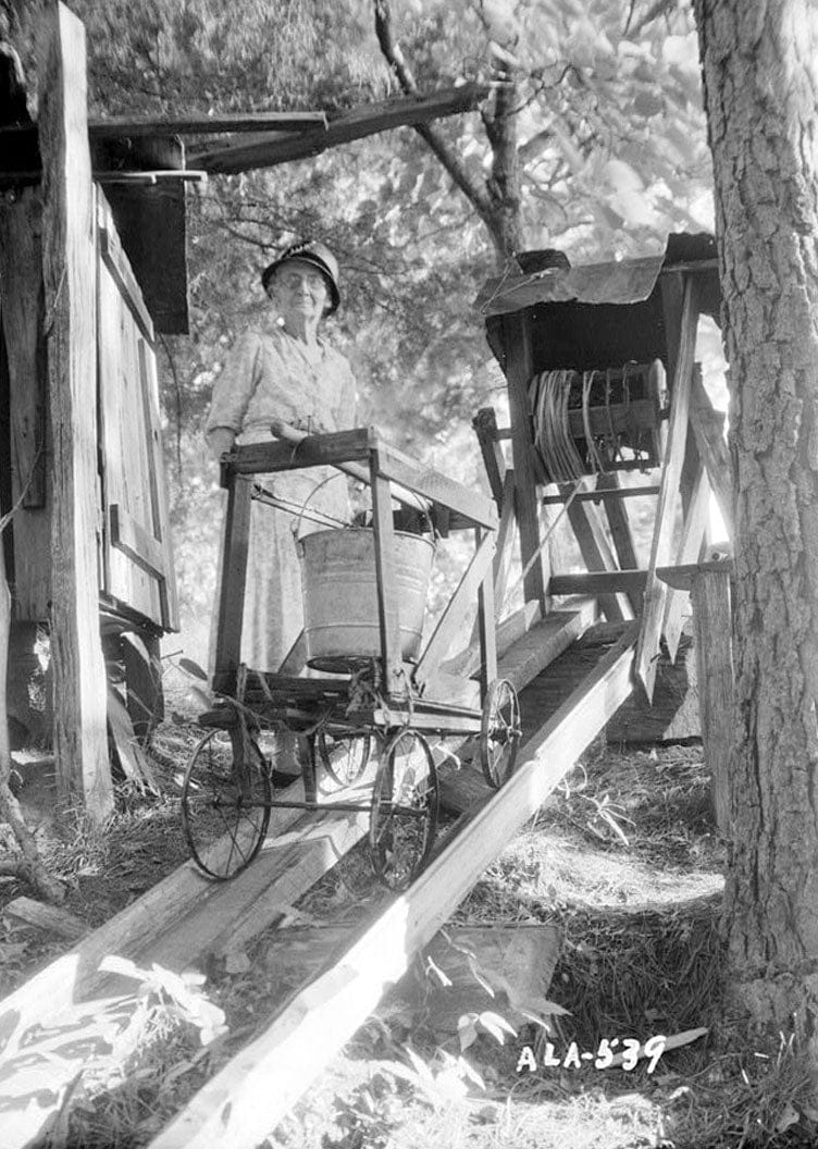 Historic Photo : Octavia Adkinson House, Wilson Road, Peachburg, Bullock County, AL 1 Photograph