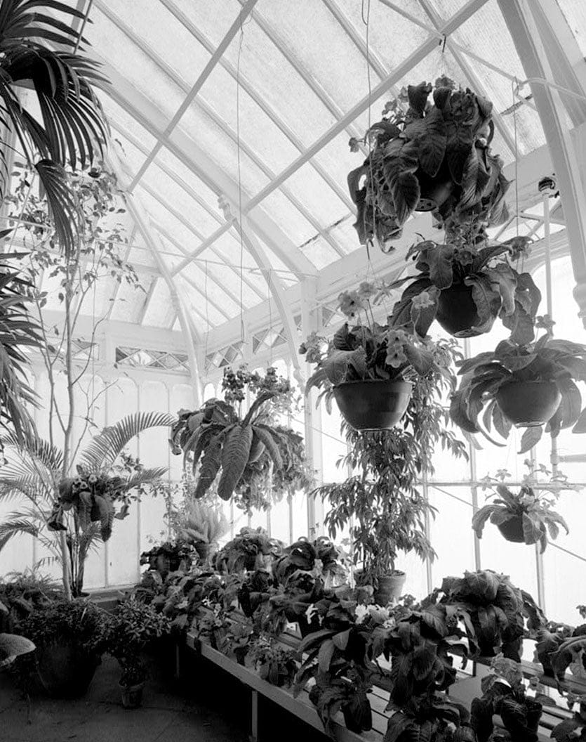 Historic Photo : Golden Gate Park, Conservatory, Golden Gate Park, San Francisco, San Francisco County, CA 3 Photograph