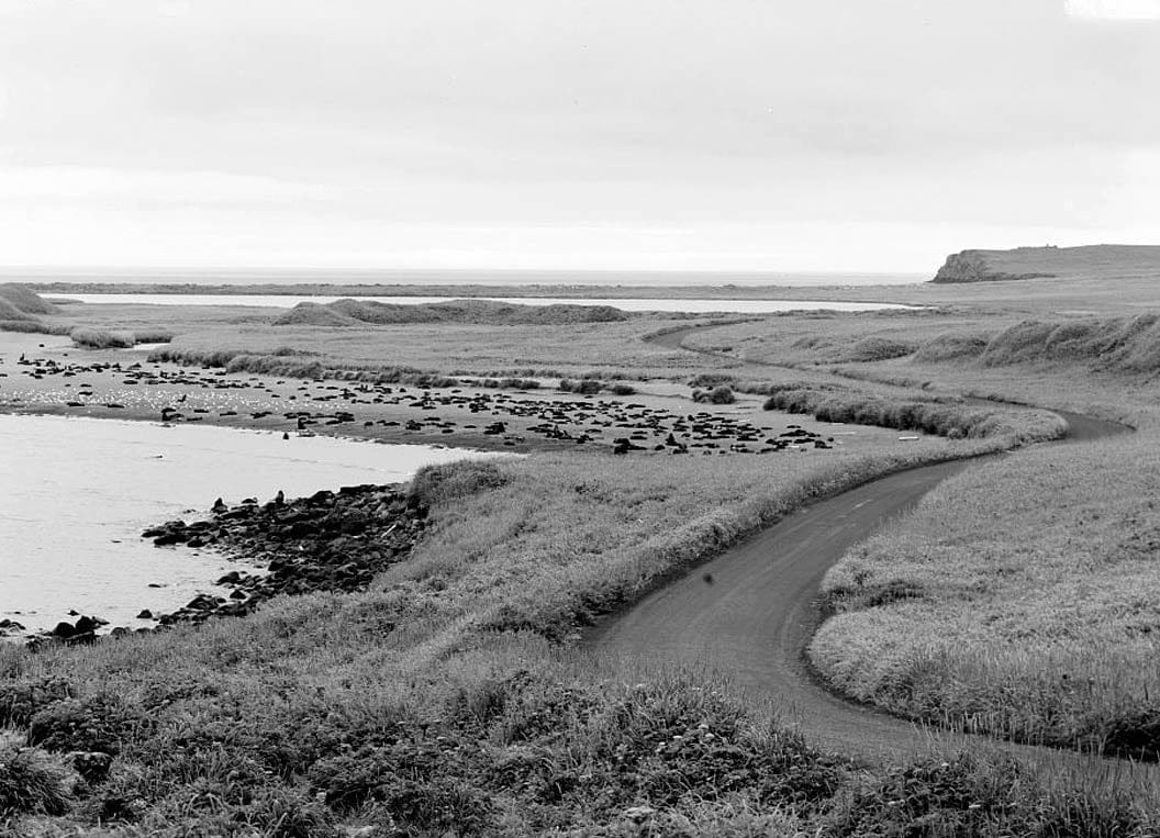 Historic Photo : Saint Paul Island, Saint Paul Island, Aleutians West Census Area, AK 3 Photograph