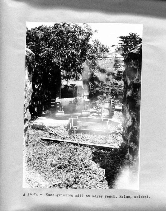 Historic Photo : R. W. Meyer Sugar Mill, State Route 47, Kualapuu, Maui County, HI 11 Photograph