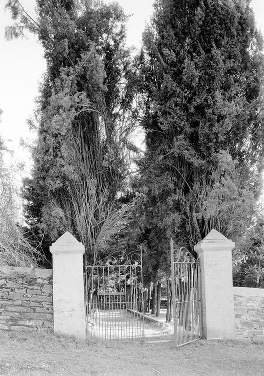 Historic Photo : Grave Stones, Jewish Cemetery, Yaney Avenue, Sonora, Tuolumne County, CA 4 Photograph