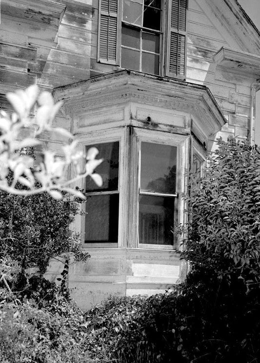 Historic Photo : Steele Brothers Dairies, Ramsey-Steele House, Pescadero, San Mateo County, CA 6 Photograph