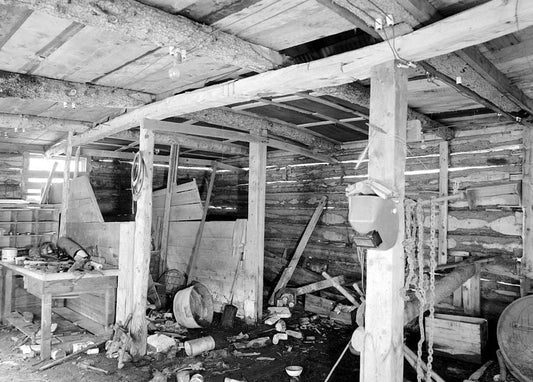 Historic Photo : Green Butte Copper Company, Stables, McCarthy Creek 12 miles Northeast of McCarthy, McCarthy, Valdez-Cordova Census Area, AK 7 Photograph