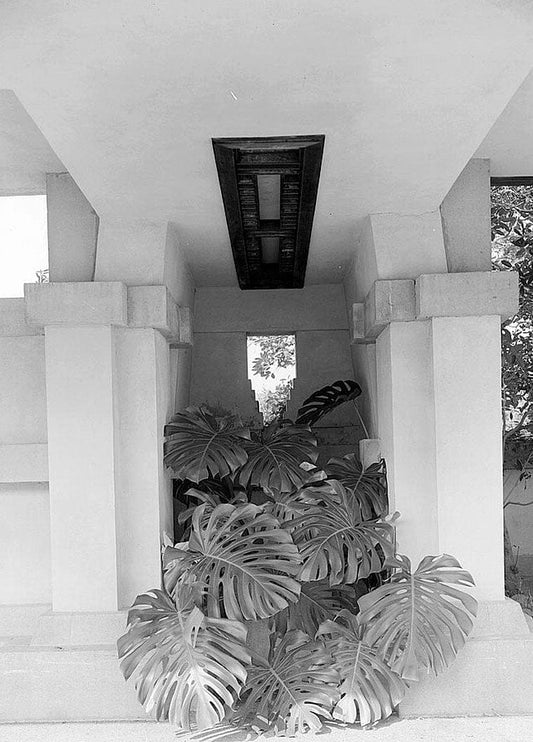Historic Photo : Hollyhock House, 4800 Hollywood Boulevard, Los Angeles, Los Angeles County, CA 11 Photograph