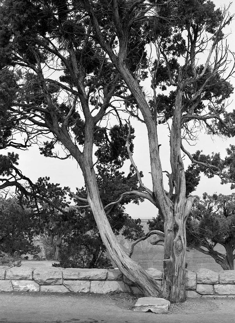 Historic Photo : West Rim Drive, Between Grand Canyon Village & Hermit Rest, Grand Canyon, Coconino County, AZ 11 Photograph