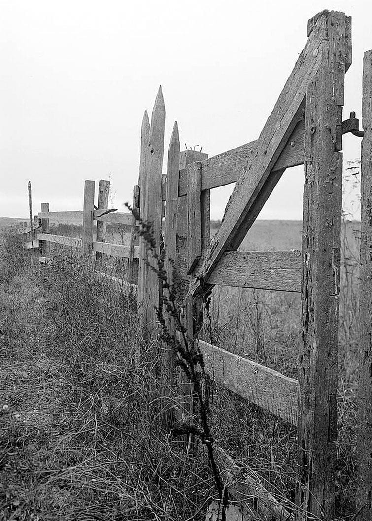 Historic Photo : Steele Brothers Dairies, Barn, Pescadero, San Mateo County, CA 1 Photograph