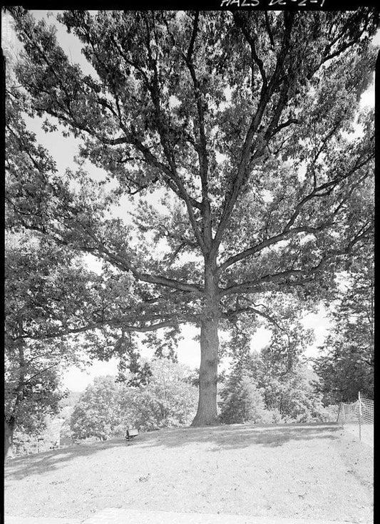 Historic Photo : Church of the Advocate, Northwest corner of Eighteenth & Diamond Streets, Philadelphia, Philadelphia County, PA 12 Photograph