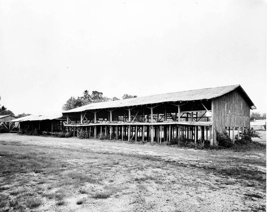 Historic Photo : Houston-White Company Mill & Basket Factory, Main Street & Railroad Avenue, Millsboro, Sussex County, DE 9 Photograph