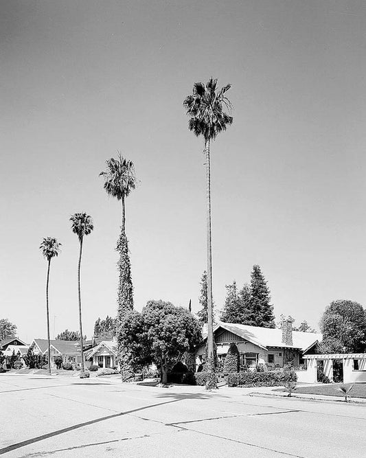 Historic Photo : Hanchett Residence Park, 1225-1257 Martin Avenue, San Jose, Santa Clara County, CA 2 Photograph