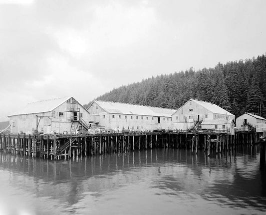 Historic Photo : Morpac Cannery, Ocean Dock Road, Cordova, Valdez-Cordova Census Area, AK 2 Photograph