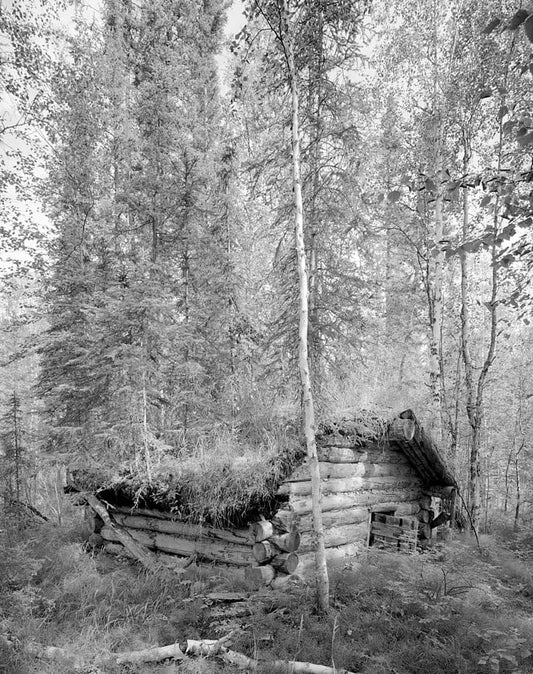 Historic Photo : James Taylor Dog Barn, Yukon River, Opposite 4th of July Creek, Eagle, Southeast Fairbanks Census Area, AK 4 Photograph