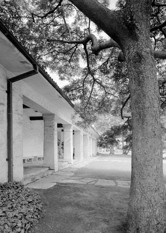 Historic Photo : Academy of Fine Arts, 900 South Beretania Street, Honolulu, Honolulu County, HI 6 Photograph