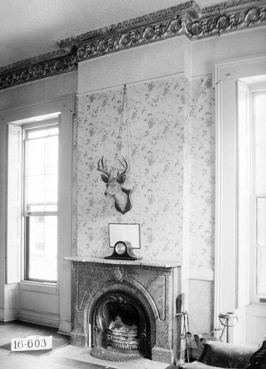 Historic Photo : John Murphy House, 22 Bibb Street, Montgomery, Montgomery County, AL 12 Photograph