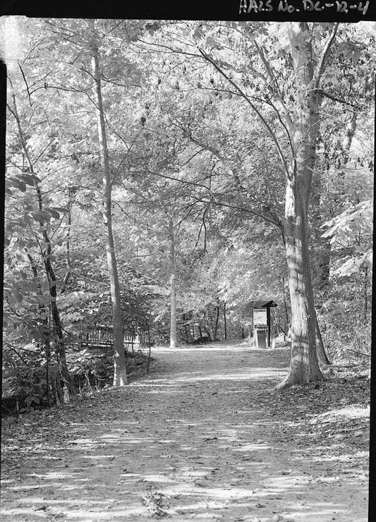 Historic Photo : Theodore Roosevelt Island, Potomac River, Washington, District of Columbia, DC 2 Photograph