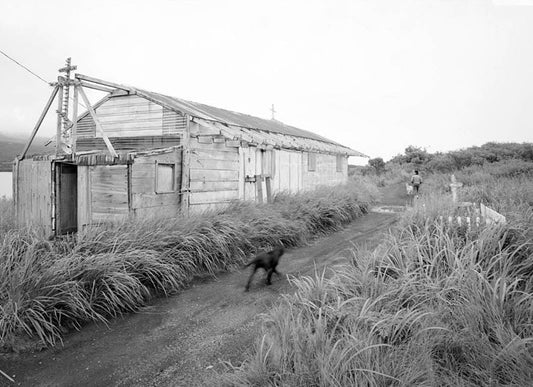 Historic Photo : St. Nicholas Russian Orthodox Churches, Old Church, Chignik Lake, Lake & Peninsula Borough, AK 2 Photograph