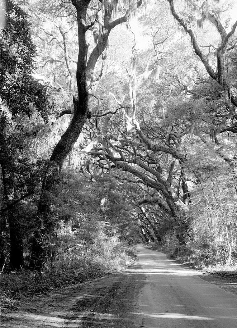Historic Photo : Kingsley Plantation, 11676 Palmetto Avenue, Jacksonville, Duval County, FL 28 Photograph