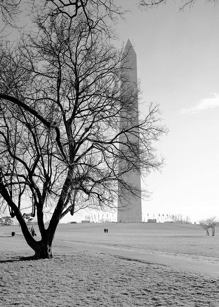 Washington Monument, High ground West of Fifteenth Street, Northwest, between Independence & Constitution Avenues, Washington, District of Columbia, DC 54