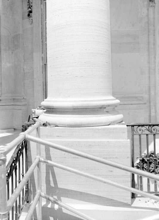 Historic Photo : White House, 1600 Pennsylvania Avenue, Northwest, Washington, District of Columbia, DC 335 Photograph