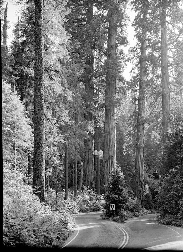 Historic Photo : Generals Highway, Three Rivers, Tulare County, CA 49 Photograph