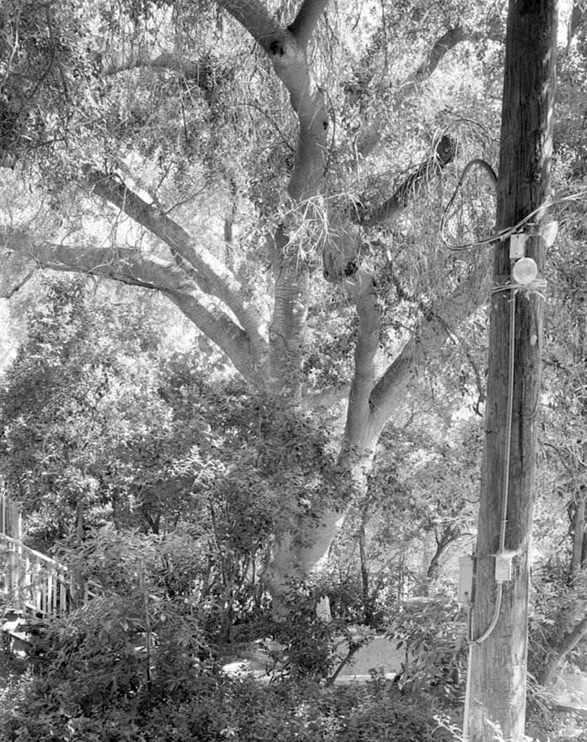 Historic Photo : Goerlitz House, 9893 Highland Avenue, Rancho Cucamonga, San Bernardino County, CA 10 Photograph