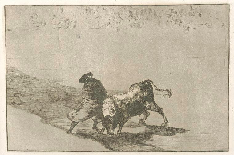 Art Print : 1816, El diestrAsimo estudiante de Falces, embozado burla al Toro con sus quiebros. - Vintage Wall Art