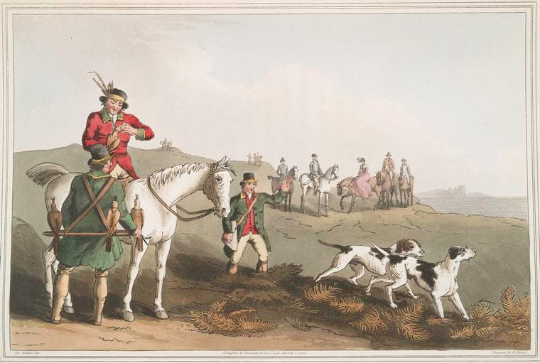 Art Print : 1814, Hawking. - Vintage Wall Art