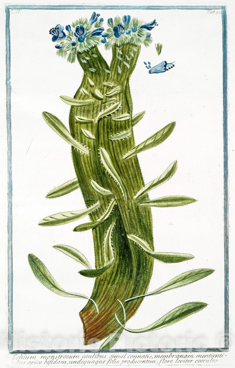 Dragable Image