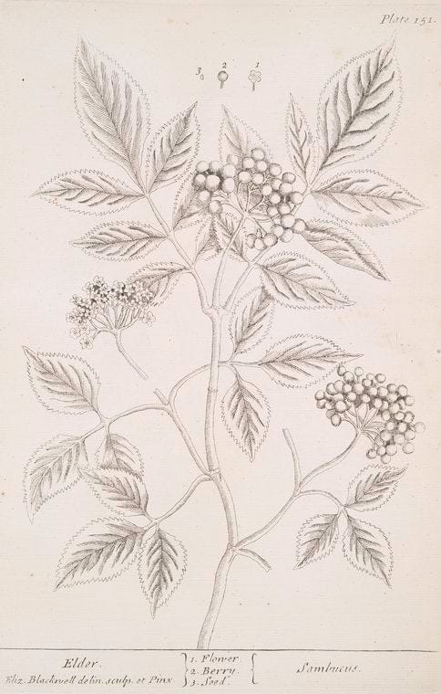 Dragable Image