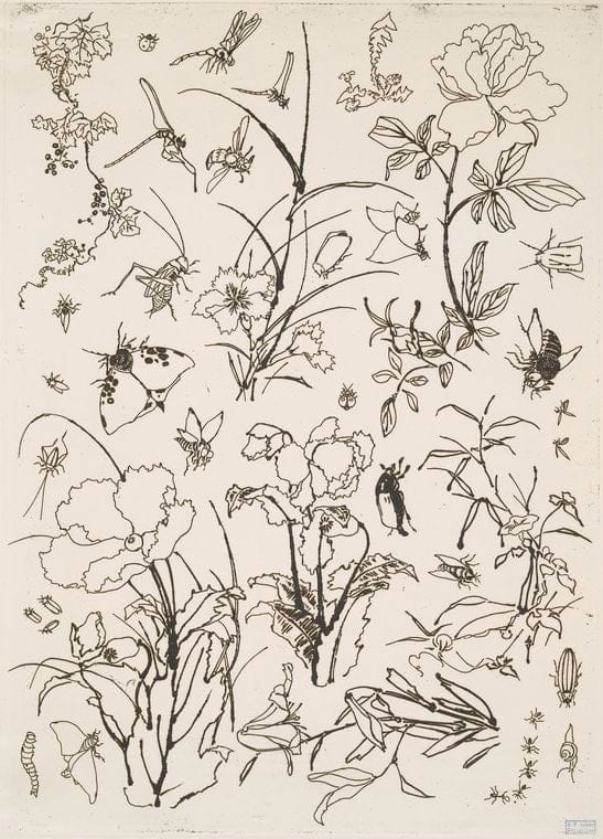 Art Print : 1866, [Fleurs et insectes.] - Vintage Wall Art