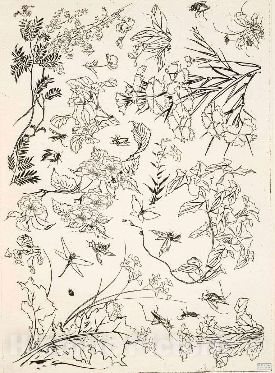 Art Print : 1866, [Fleurs.] - Vintage Wall Art V1