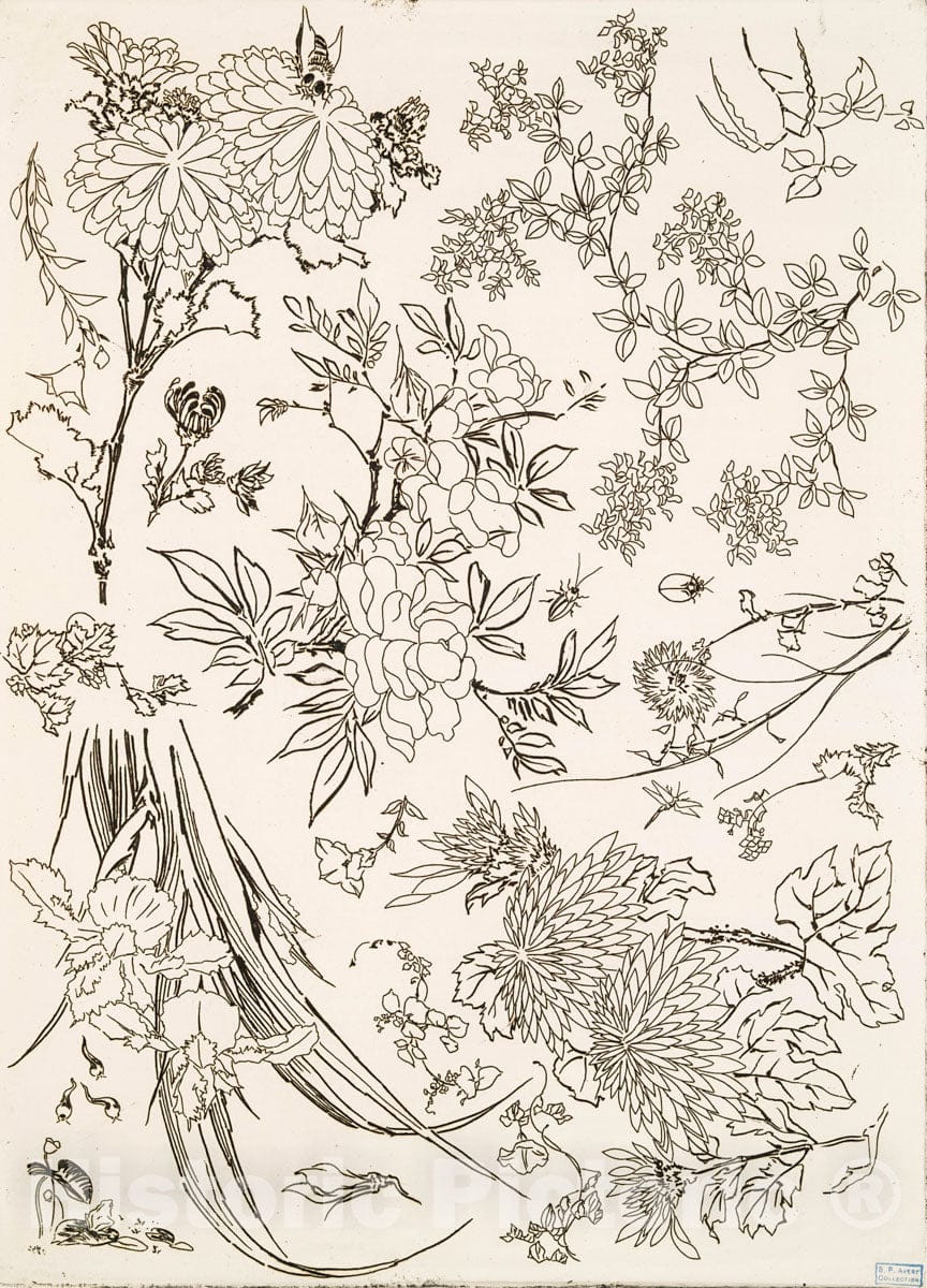 Art Print : 1866, [Fleurs.] - Vintage Wall Art V2