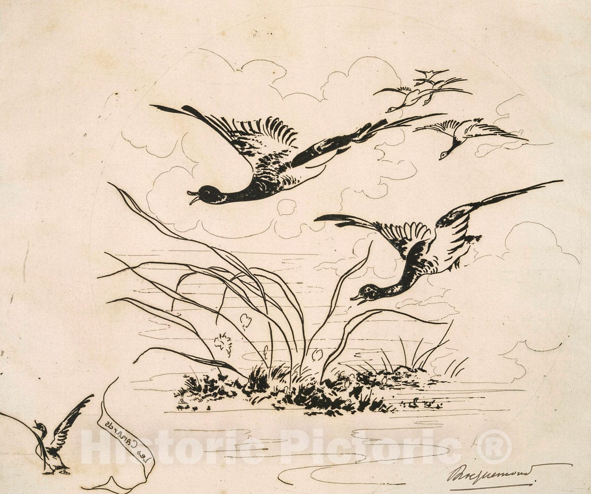 Art Print : 1866, Les canards. - Vintage Wall Art