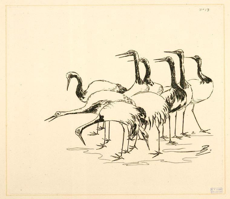 Art Print : 1866, [Bande de grues.] - Vintage Wall Art