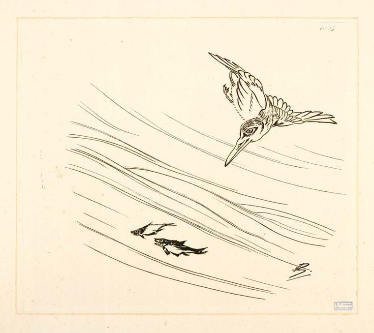 Art Print : 1866, [Langouste, plantes avec oiseaux.] - Vintage Wall Art